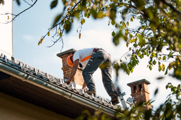 Best Slate Roofing Contractor  in White City, FL