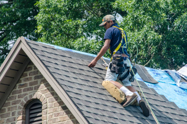 Best Gutter Installation and Roofing  in White City, FL